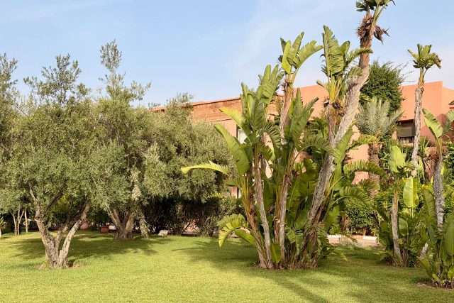 Agdal: Bel appartement à louer meublé, en 3 Ch, Terrasses, Résidence avec Jardin et Piscine commune